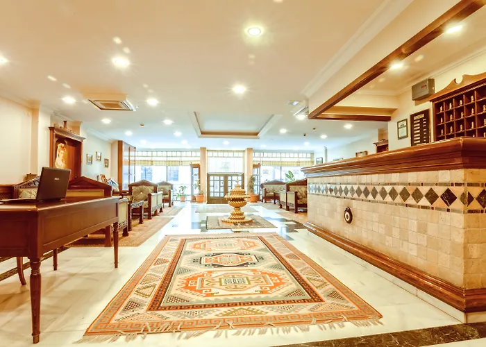 Hotel Saba Provincia di Provincia di Istanbul